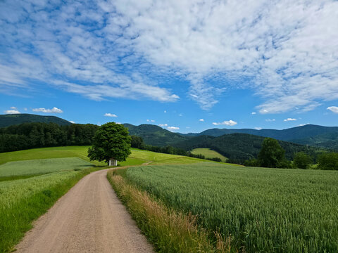 germany, spectacular panoramic chapel trail between green grainfields with sweeping mountain views and blue skies
