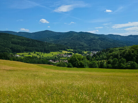 germany, stunning panorama of elzach village nestled among flowering meadows and forested mountain landscapes