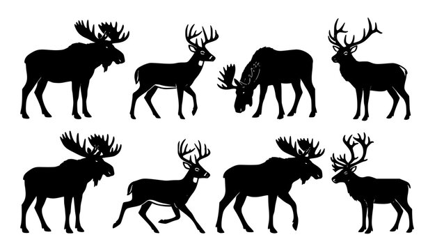 Moose Deer Silhouette Collection Wild Forest Animal Vector Illustration Set