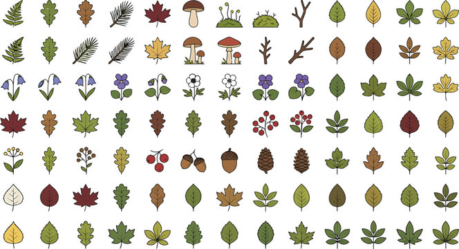 Set of forest elements including various leaves, mushrooms, pine cones, and twigs in a flat vector style