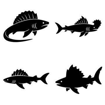 Frilled Shark icon featuring a rare prehistoric deep sea shark with distinctive frilled gills and an elongated body. Clean vector design ideal for marine biology, ocean science, wildlife, and educatio