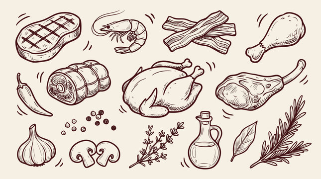Handdrawn sketch collection of raw meat poultry seafood and ingredients for cooking