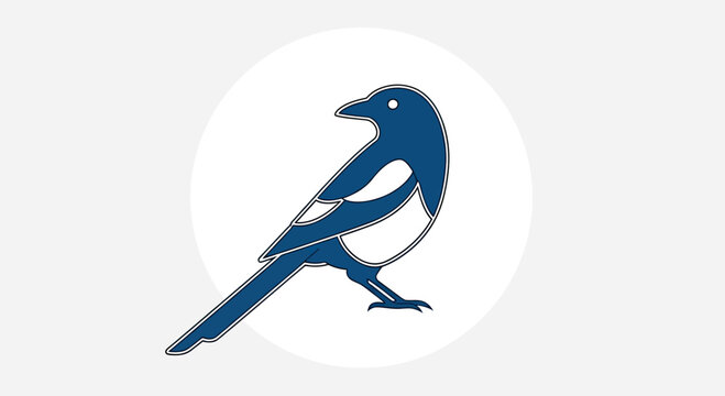 Blue and white magpie bird illustration.