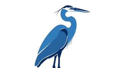 Obraz premium Blue heron bird illustration standing in profile.