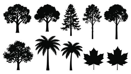 Obraz premium Silhouettes of north american wildlife including deer bears wolves and birds