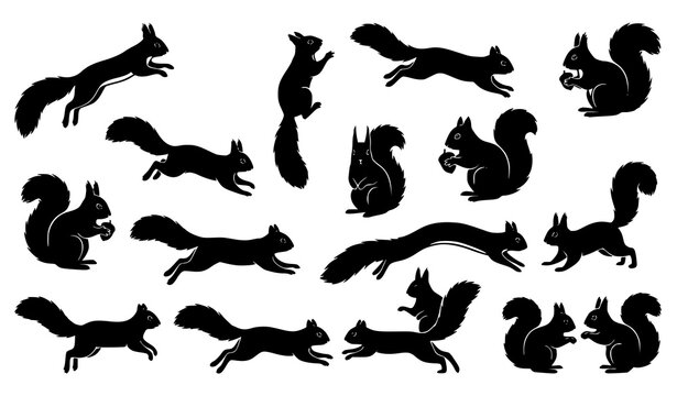 Playful squirrel silhouette collection featuring energetic woodland animals in dynamic jumping climbing and running poses