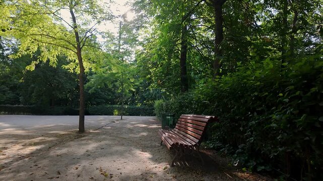 Beautiful idyllic scene among large trees and wooden benches in the Retiro, Madrid.