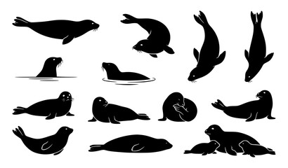 Marine seal silhouette pack with swimming diving and resting ocean mammal vector illustrations © Emdadul