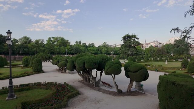 Parterre Park with unique and special trees in the Retiro Park in Madrid, Spain.