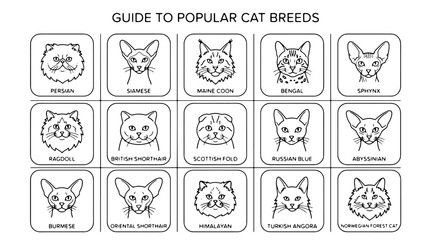 Cat breeds, popular cat breeds, feline illustrations, vector icons © Rosie