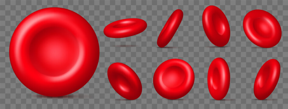 Realistic blood cells. Red bloody molecules. Hemoglobin particles. Different view angles. Artery system corpuscles. Oxygen transportation. Erythrocyte discs in various positions vector set