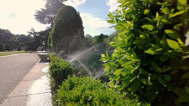Automatic irrigation in the parterres of the Retiro Monumental Park, Madrid.
