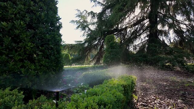 Automatic irrigation in the parterres of the Retiro Monumental Park, Madrid.