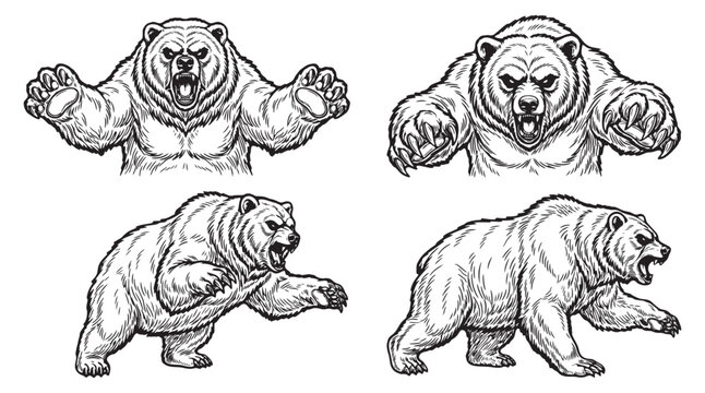 Angry roaring grizzly bear vector illustration set, fierce wild animal and bear market concept