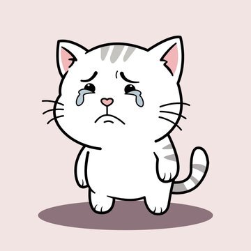 Crying cat looks sad and dejected standing alone