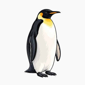 Emperor penguin vector style illustration