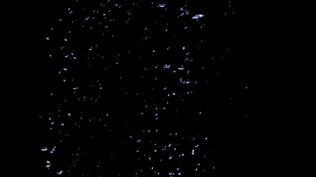 Real water bubbles rising and floating upwards against a pure black background.
