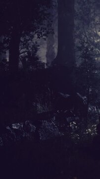 Hikers explore a dark forest at night. Trees loom overhead while small plants grow on the forest floor. The atmosphere suggests adventure in nature.