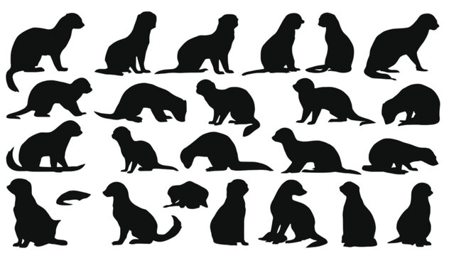 Ferrets shown in a diverse range of sitting and playing poses are presented as black silhouettes against a stark white background for use in animal-themed projects and designs.