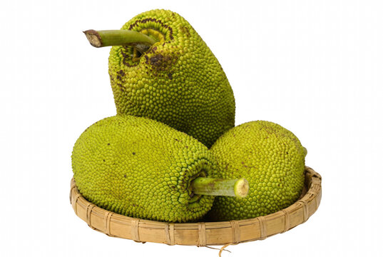 Three fresh green jackfruits in a woven bamboo basket