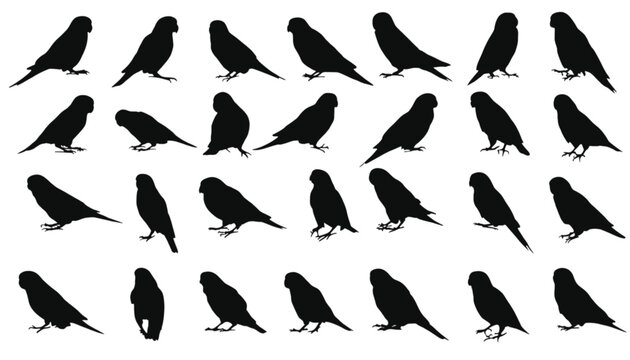Parakeet silhouettes captured in various postures create a versatile asset library for illustrators and graphic designers who require detailed avian shapes for their professional creative projects.