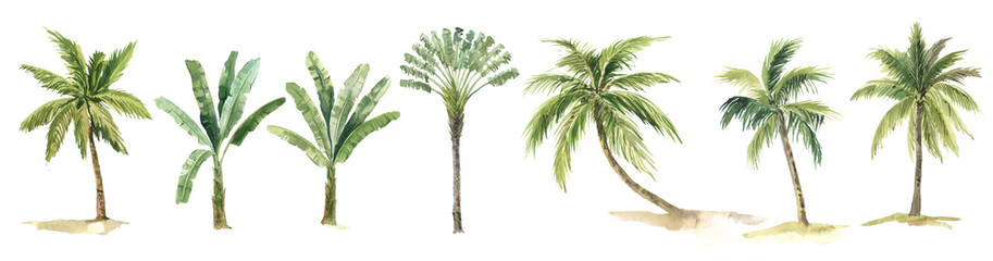 set of watercolor palm tree beach © ElenaDoroshArt