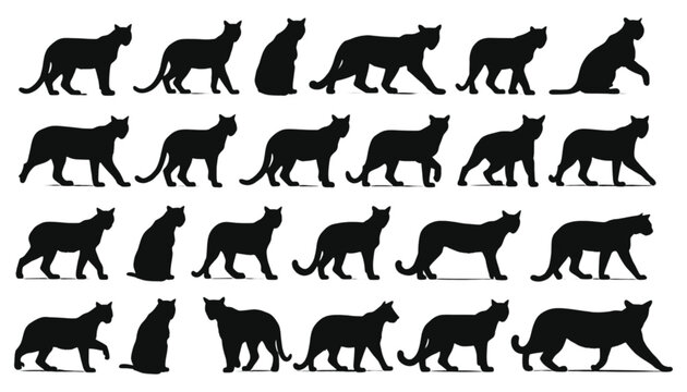 Cougars are captured in a variety of walking and sitting poses within this set of black silhouettes that illustrate the feline agility and predatory nature against a clean white background for.