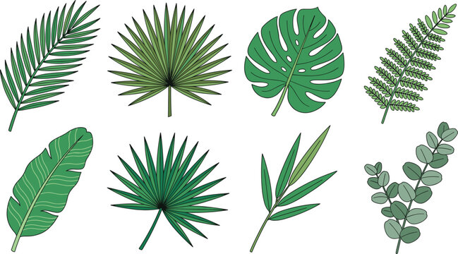 Tropical Leaf and Exotic Palm Branch Vector Icon Set Featuring Monstera Fern Banana and Fan Foliage for Summer Botanical Branding and Jungle Background Designs