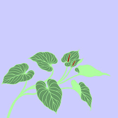 Minimalist vector illustration of a potted philodendron plant with green heart shaped leaves. © wankbay