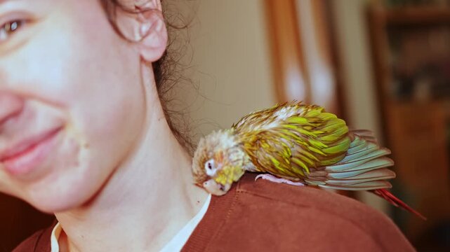 A woman smiles as a small parrot rests on her shoulder in a cozy indoor setting during daytime. The parrot appears comfortable and relaxed, enjoying the moment.