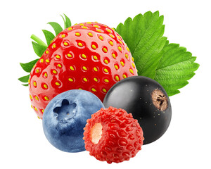 Obraz premium wild Berries mix, strawberry, currant, blueberry, wild strawberry, isolated, full depth of field