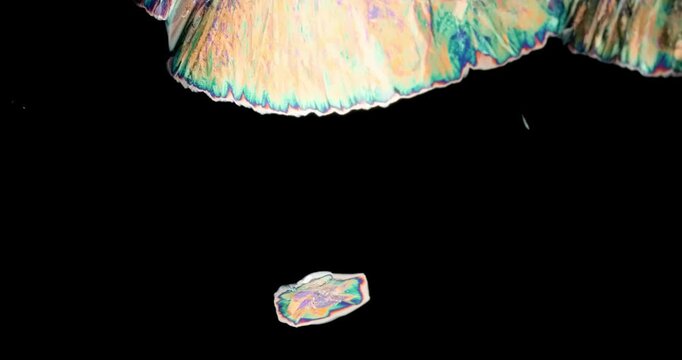 Extreme Macro video of abstract microscopic crystal formation growing under polarized light