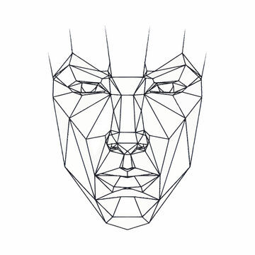 Geometric wireframe human face outline with facial recognition points.