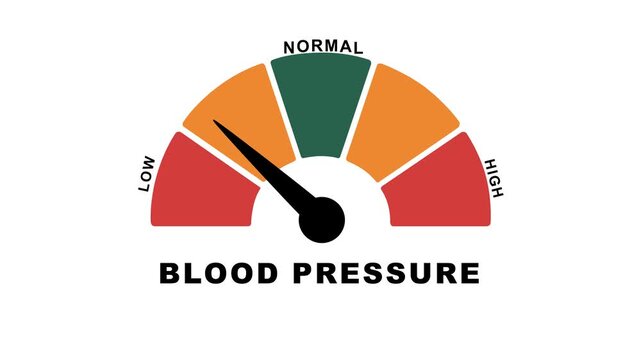 Animated blood pressure level meter increasing from normal to high level for concepts related to high blood pressure, hypertension Motion graphic 4k animation video.