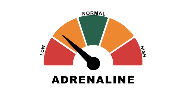 Animated adrenaline level meter decreasing from normal to low level, for concepts related to low adrenaline, hormone imbalance
