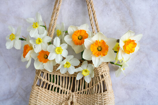 Spring daffodil bouquet in wicker bag on light background