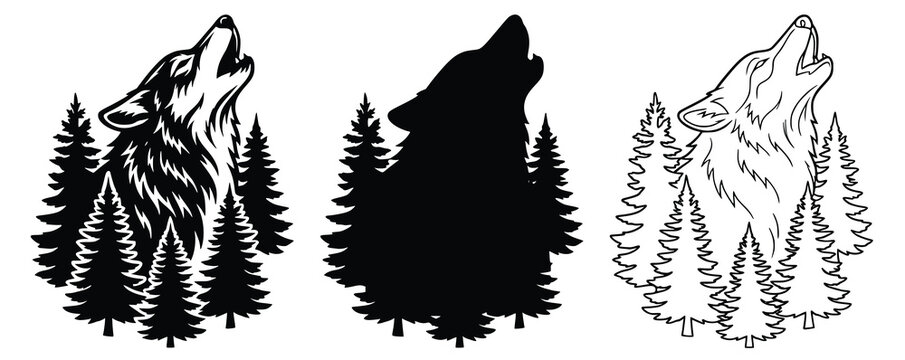 vector illustration of a wolf
