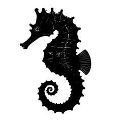 A detailed black silhouette of a seahorse against a white background © Zidnah