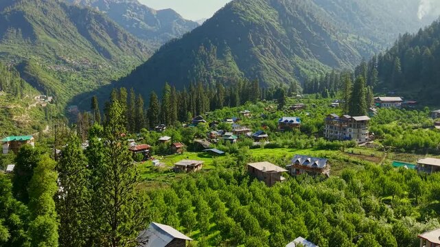 Aerial flyover above Grahan Village with orchards, pine trees, and Himalayan mountains in Parvati Valley, near Sar Pass Trek, Kasol, Himachal Pradesh, India.
