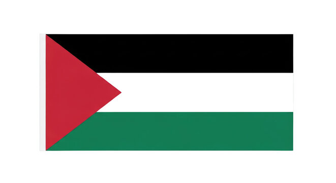 Palestinian flag with red triangle.