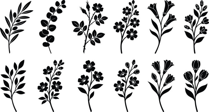 Black floral silhouette vector set featuring botanical branches leaves wild rose stems olive sprigs and blooming garden flowers for elegant invitation graphic designs