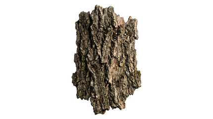 Obraz premium A piece of rough tree bark with deep ridges and brown textures, isolated on a white background, showcasing natural wood surface details