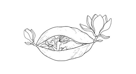 Delicate fairy sleeping in a magnolia pod with leaves and flowers, line art illustration © Dodo