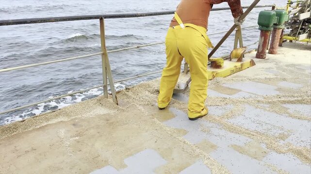 Rare candid footage of ship life with a touch of humor. Bulk carrier crew cleans spilled wheat from deck and throws it overboard. During hard work, one sailor&rsquo;s pants suddenly rip at the backside. 