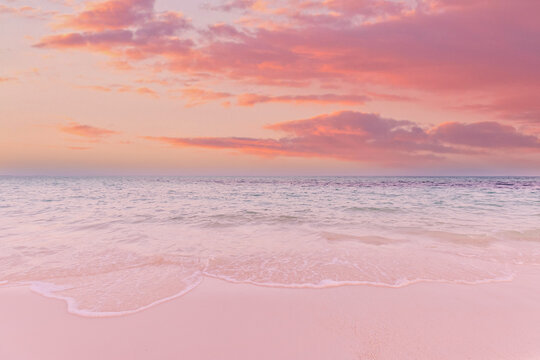 Dreamy tropical beach soft pink pastel sunset. Gentle waves rolling calm tranquil shore. Romantic paradise seascape glowing tender dusk. Inspirational summer travel backdrop, peaceful coastal evening