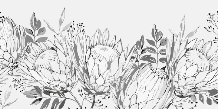 Protea Floral Ornament Black And White Vector Illustration