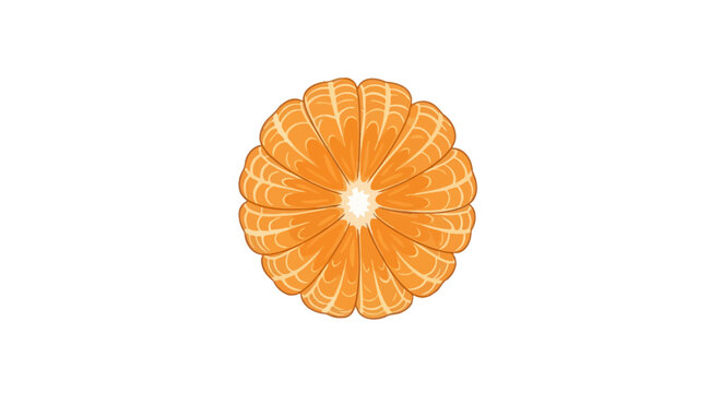 Peeled Mandarin Orange Citrus Fruit Vector Illustration