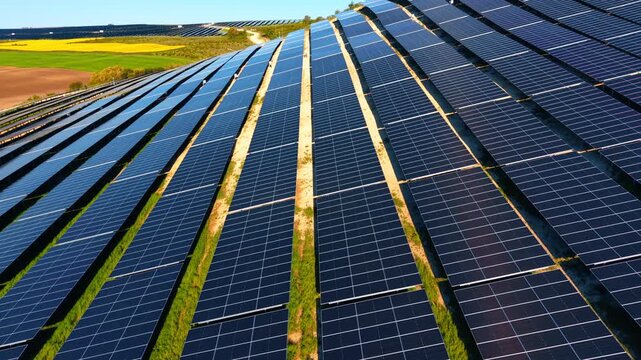 Solar panel rows on hillside. Converging lines of dark modules extend toward rapeseed fields under clear afternoon sky.