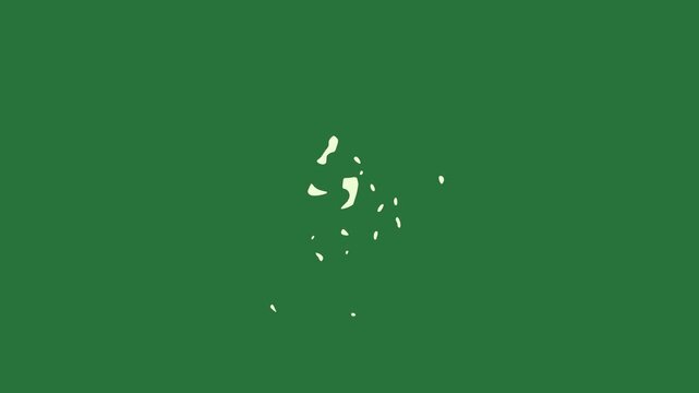 Flower on black cat paint splashs it screen dot the flag of united spots green screen movement colorful elements
