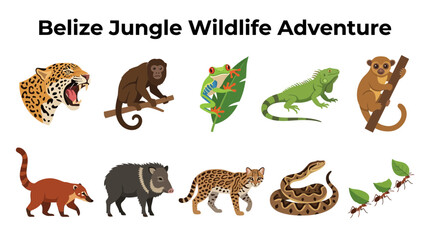 Belize Jungle Wildlife Adventure © zyaa